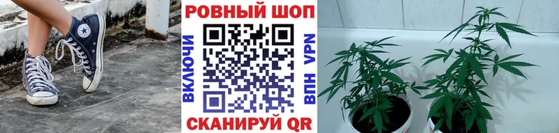 Купить наркотик аптеки Омск Alpha PVP  Codein  МЕФ  Бошки Шишки  COCAIN 