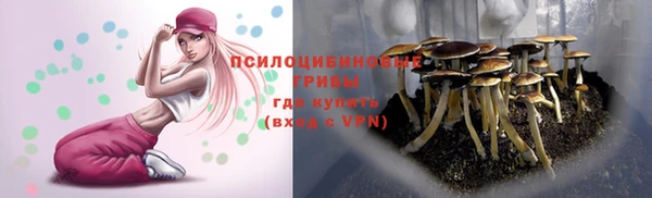 ПСИЛОЦИБИНОВЫЕ ГРИБЫ Вязьма