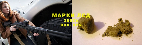 ПСИЛОЦИБИНОВЫЕ ГРИБЫ Вязьма