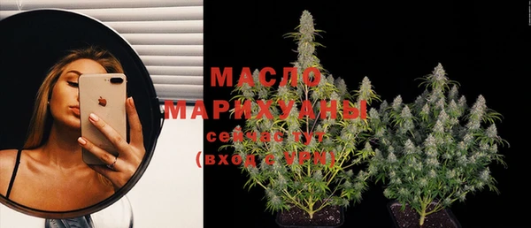 скорость Вяземский