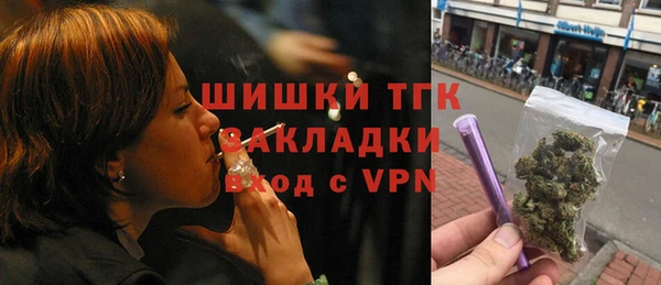 скорость Вяземский