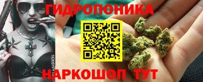 винт Обнинск