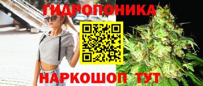 винт Обнинск