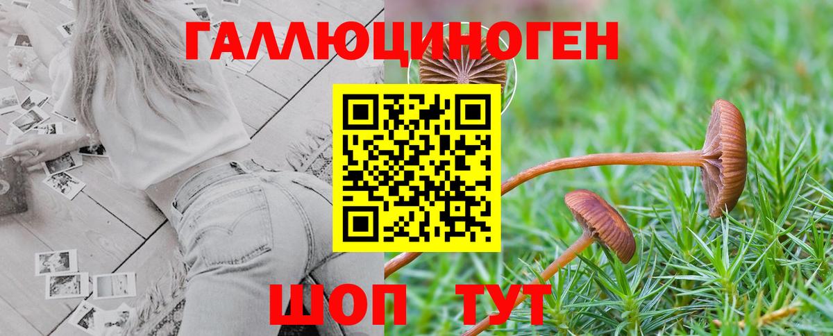 Галлюциногенные грибы Cubensis  Вход с VPN  Псилоцибиновые грибы Psilocybe  Омск 